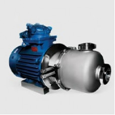 Пищевой насос центробежный ОНЦс 25/30К5-5.5/2